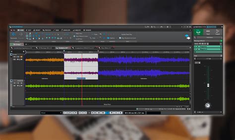Steinberg WaveLab 2025 No Survey Download
